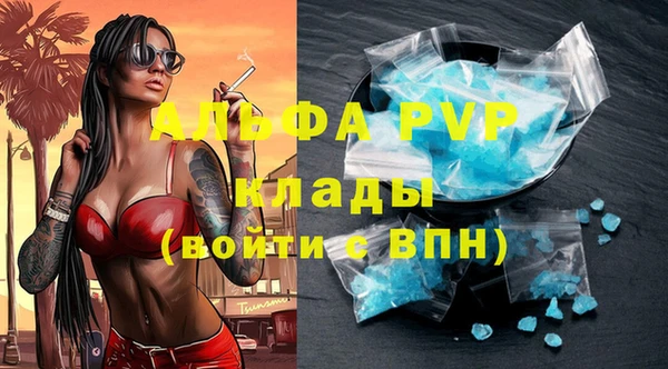 сатива Няндома