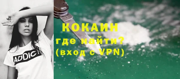 сатива Няндома