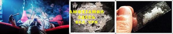 PSILOCYBIN Нязепетровск
