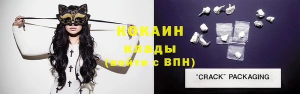 сатива Няндома